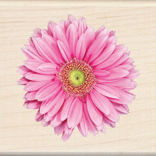 Inkadinkado Pink Gerbera Daisy Wood Stamp