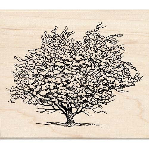 Inkadinkado Rubber Stamp-Ancient Apple Tree